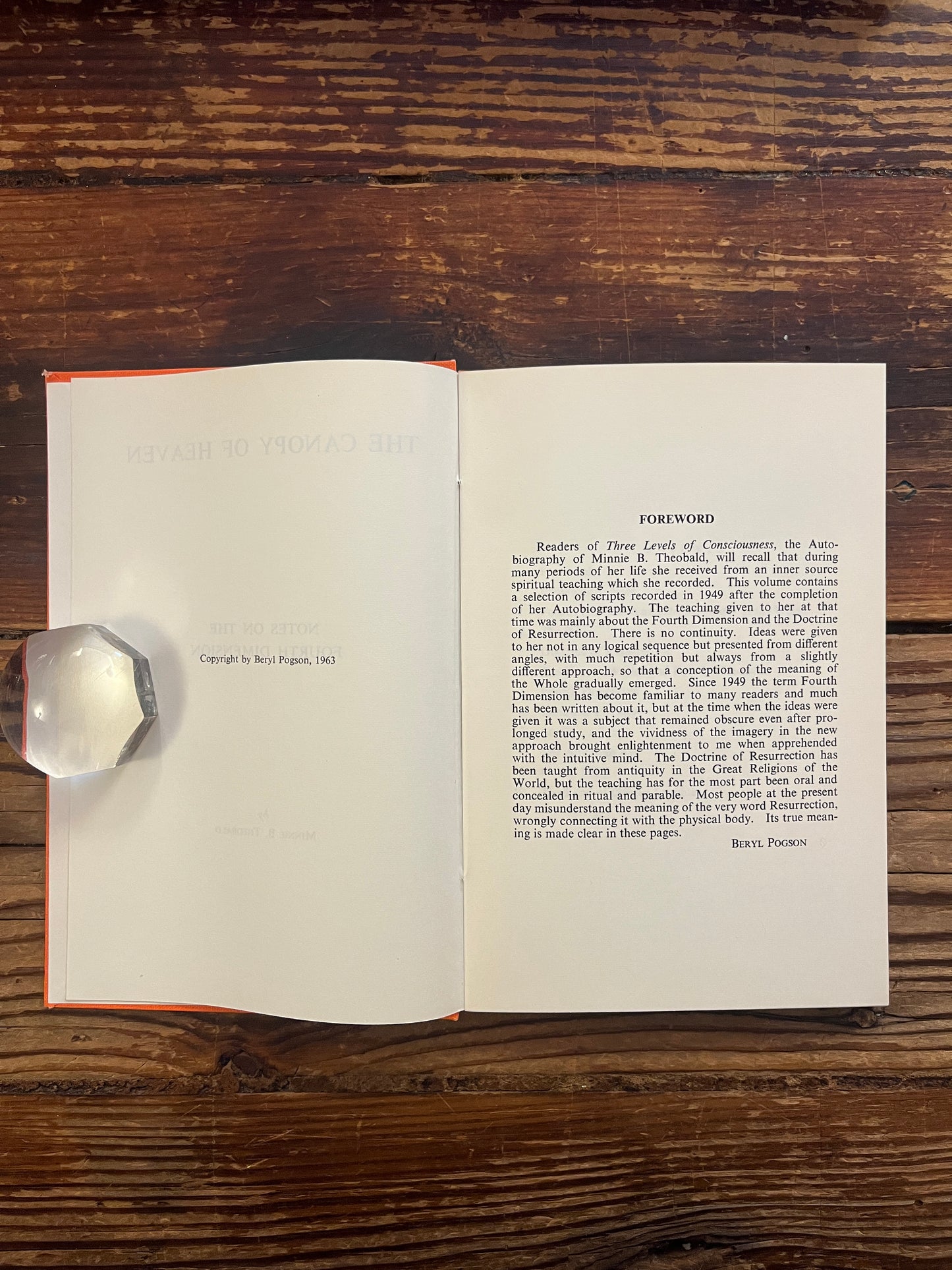 Open book titled 'the canopy of heaven' by Minnie Theobald on a wooden surface