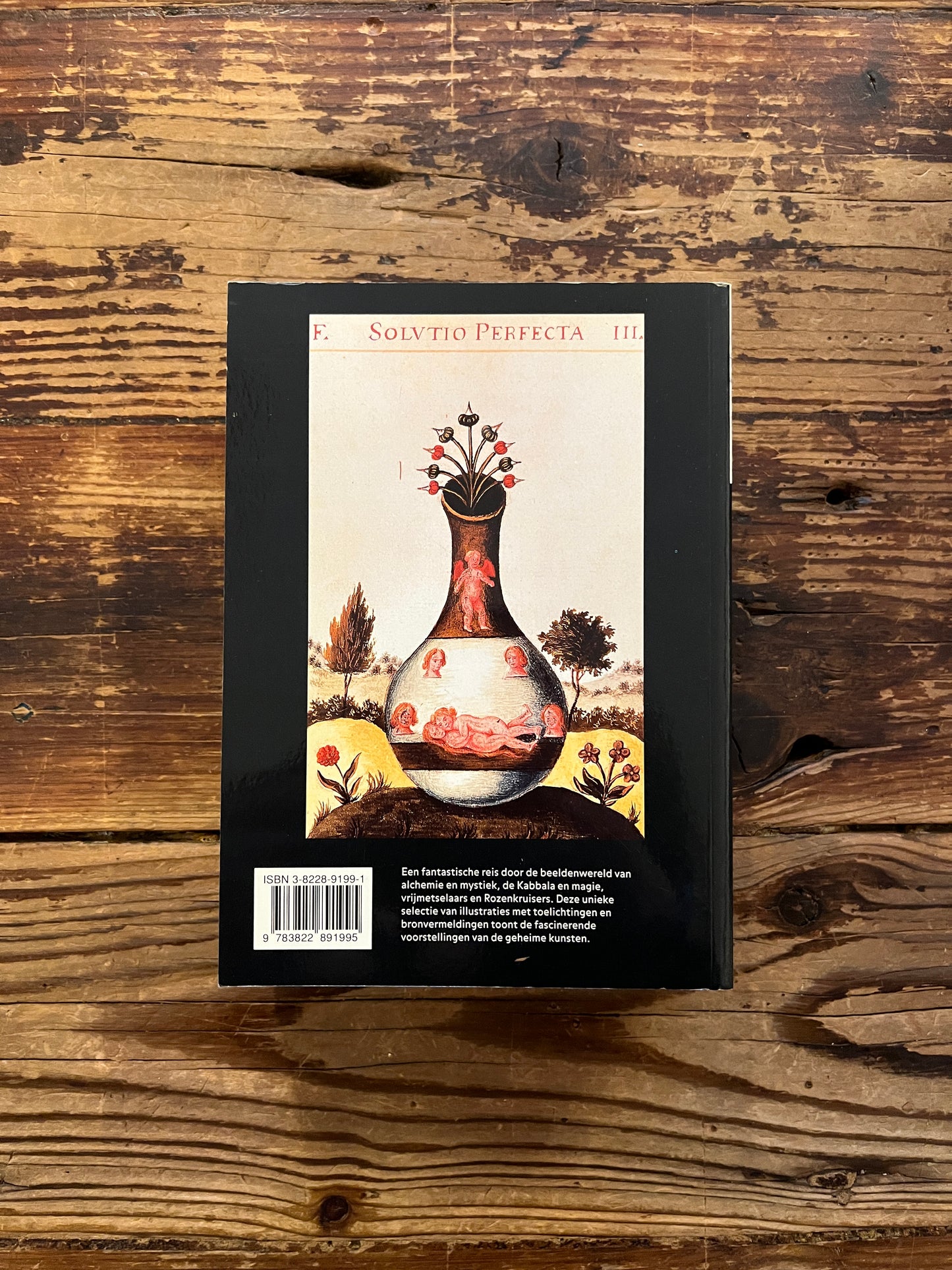 Achterkant van boek met de titel 'Alchemie & Mystiek' door Alexander Roob op een houten achtergrond 