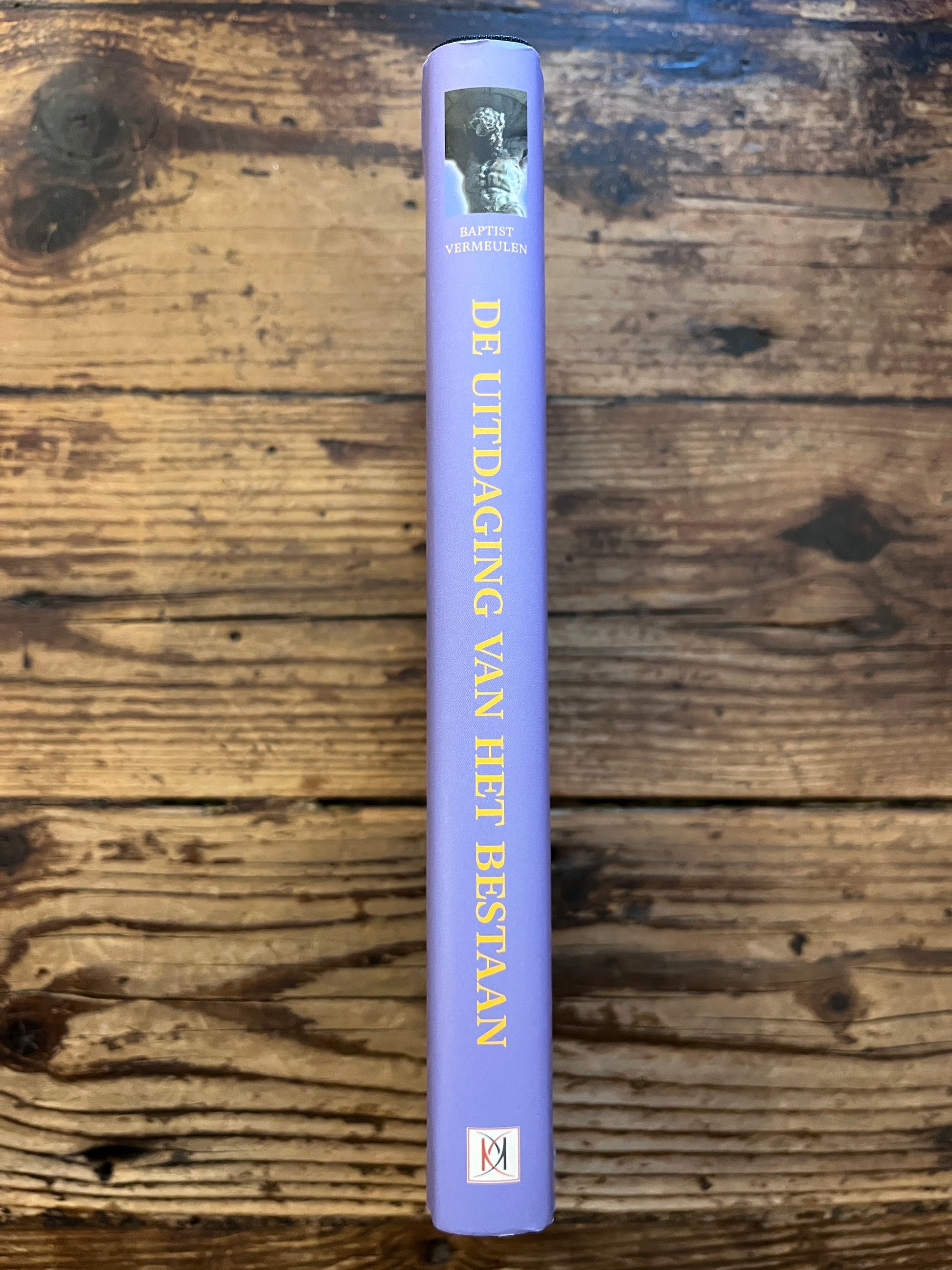 foto van de rug van het boek "De uitdaging van het bestaan"op houten achtergrond