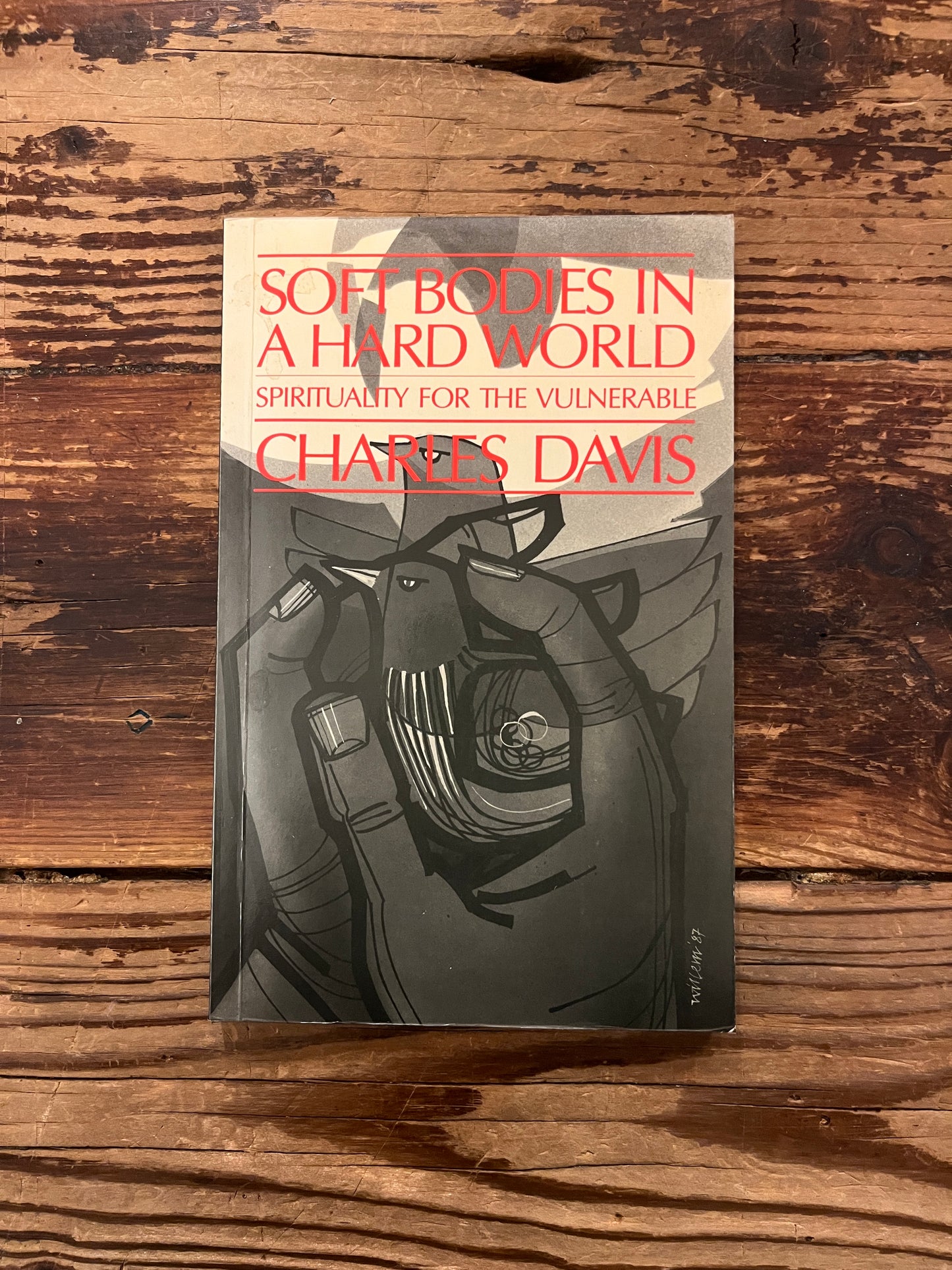 Voorkant van boek 'sof bodies in a hard world' door Charles Davis