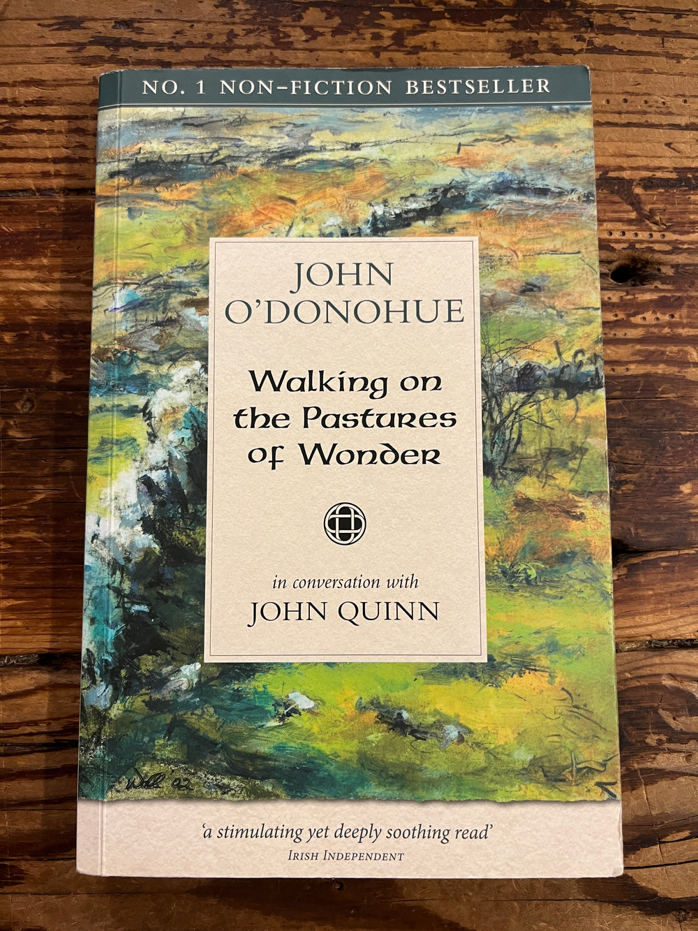 Walking on the Pastures of Wonder, a conversation with John Quinn, John O’Donohue