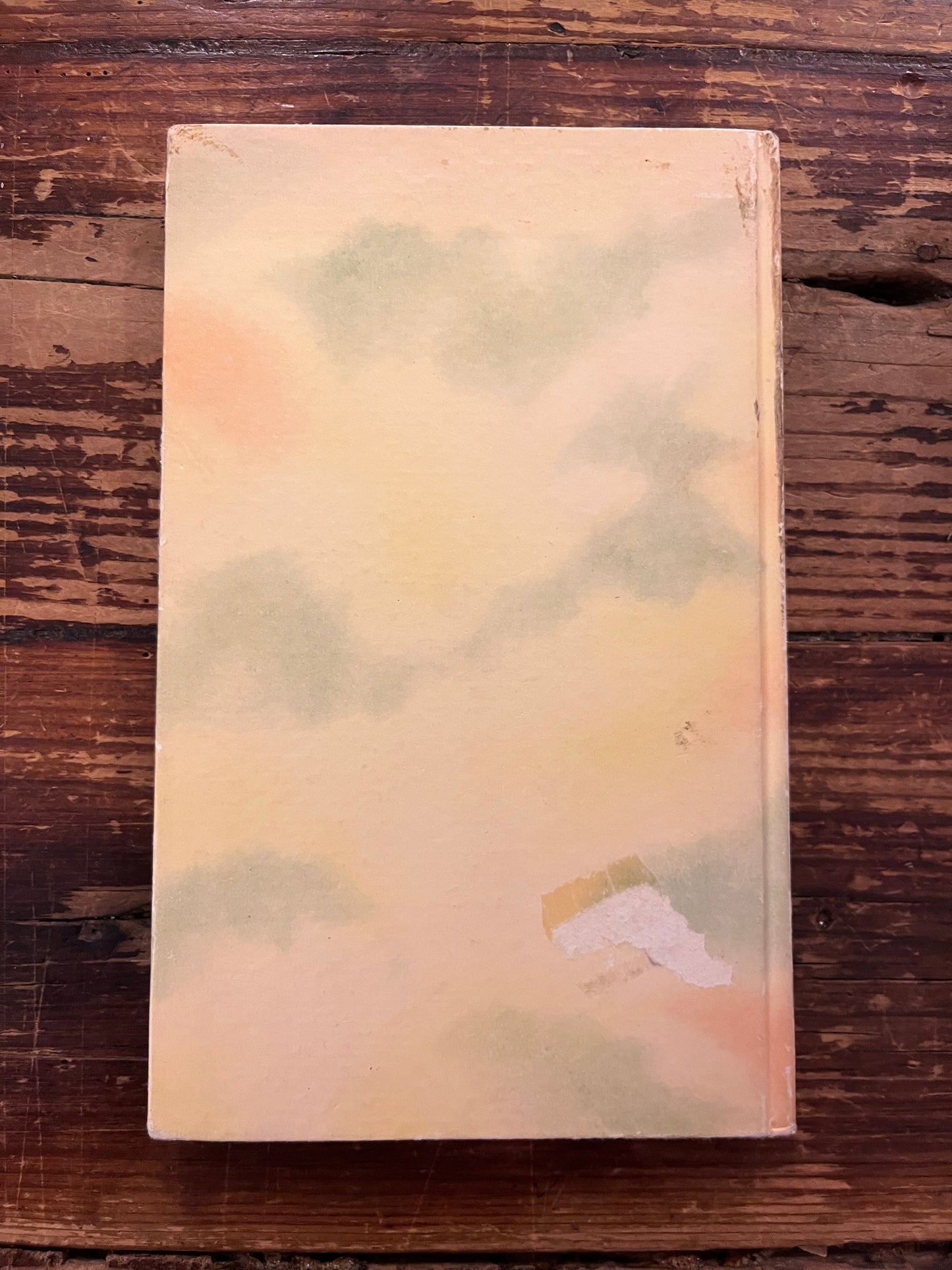 photo de la quatrieme de couverture du livre "contes de la dynastie des tang"sur fond de bois