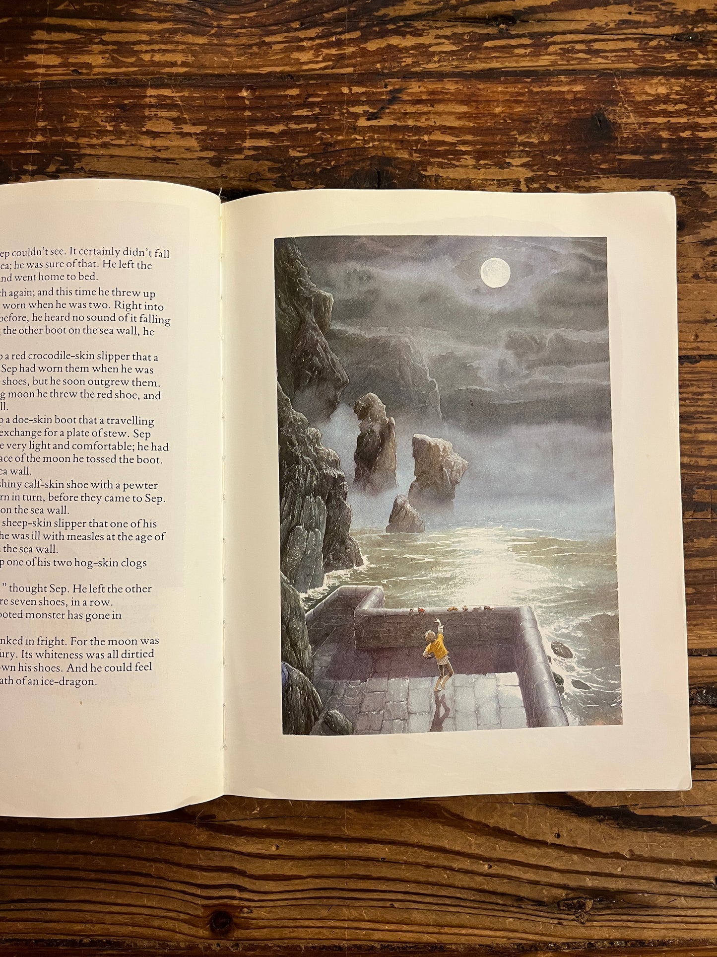 Open book titled 'the Moon's revenge' with a scenic illustration of a waterfall and stone structure on a wooden surface