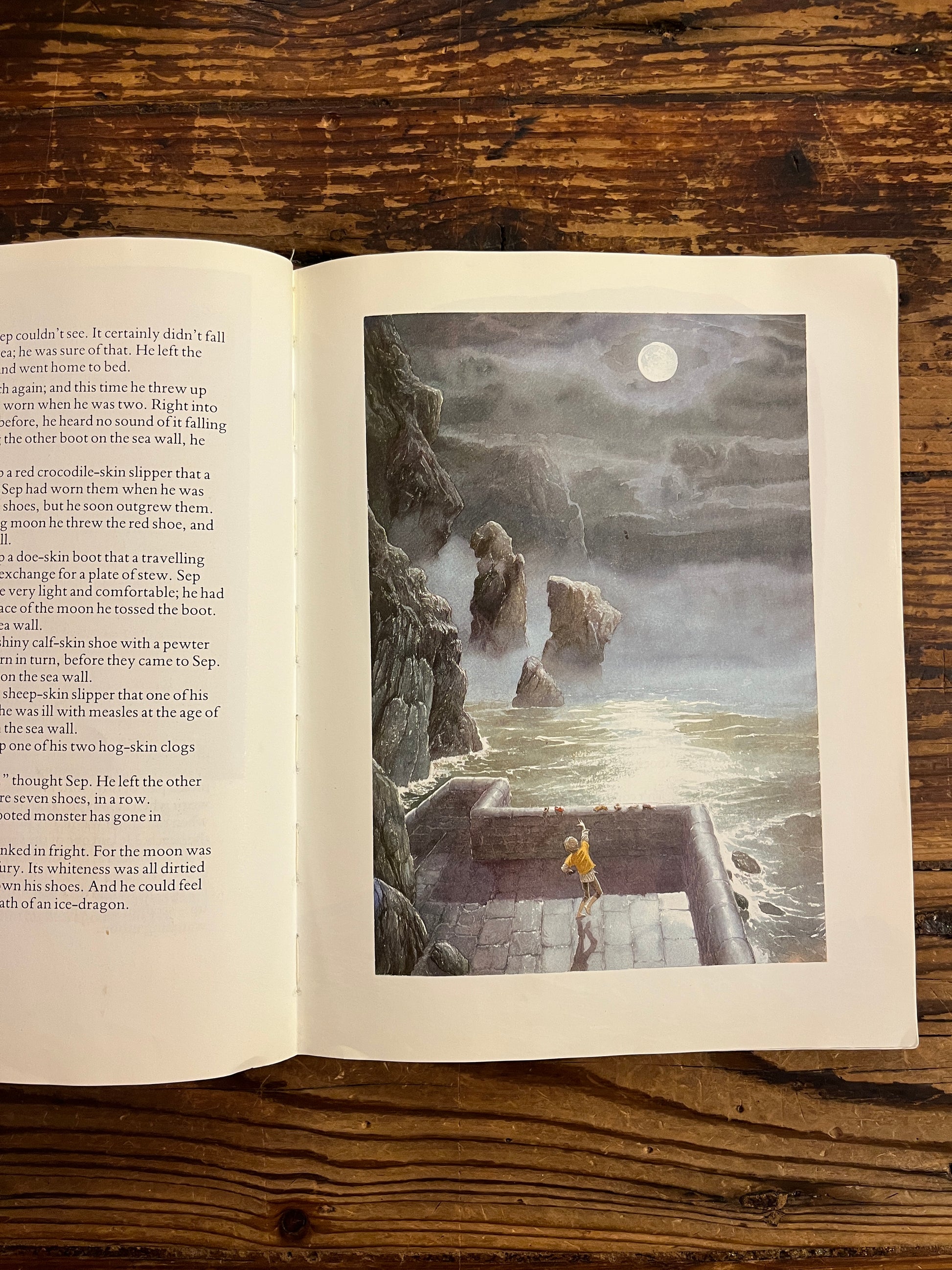 Open book titled 'the Moon's revenge' with a scenic illustration of a waterfall and stone structure on a wooden surface