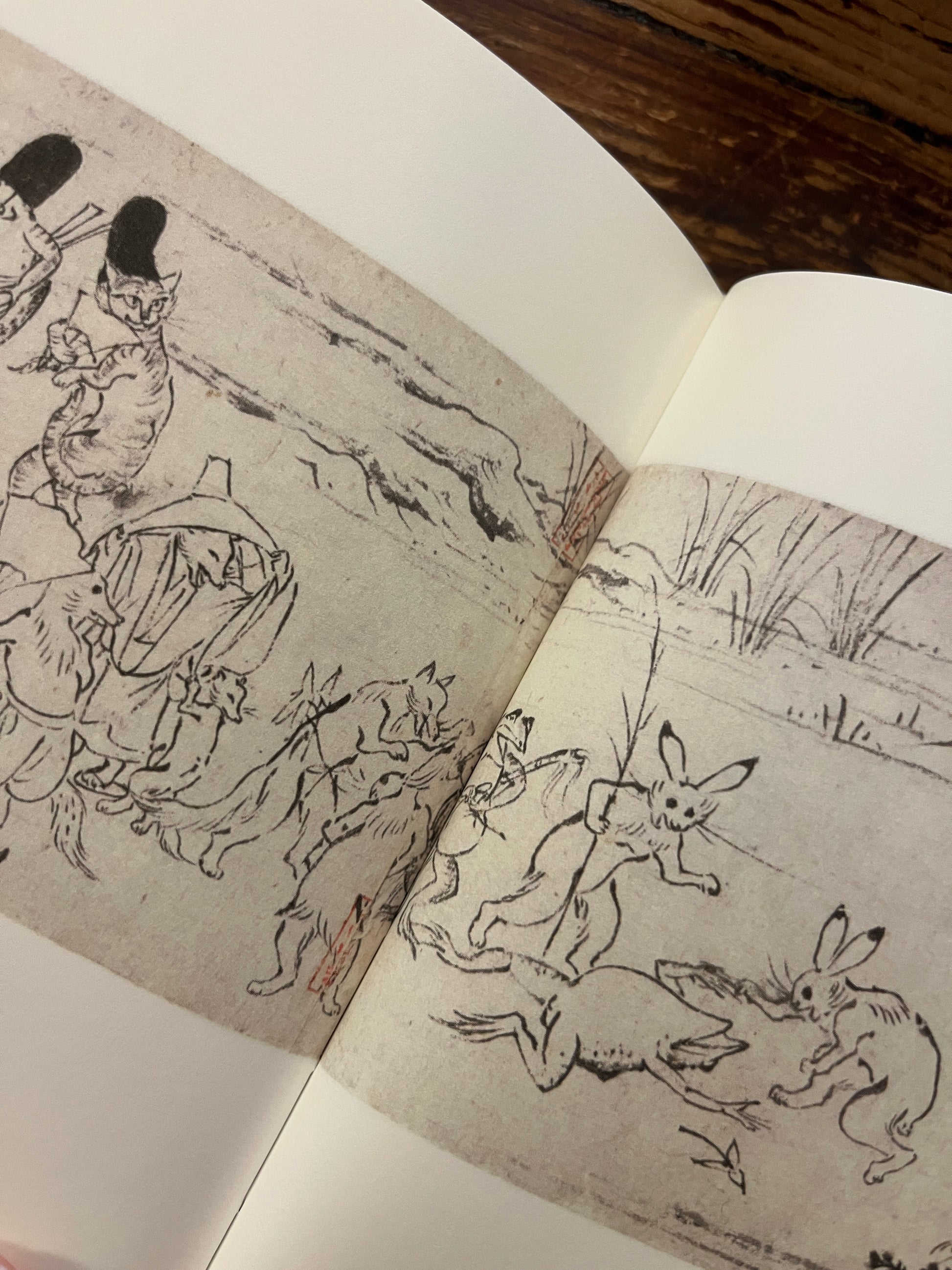 Open boek met illustratie de titel 'Over het Japanse klooster Kozan-ji en de beroemde dierentekeningen' door Cees Nooteboom, op een houten achtergrond