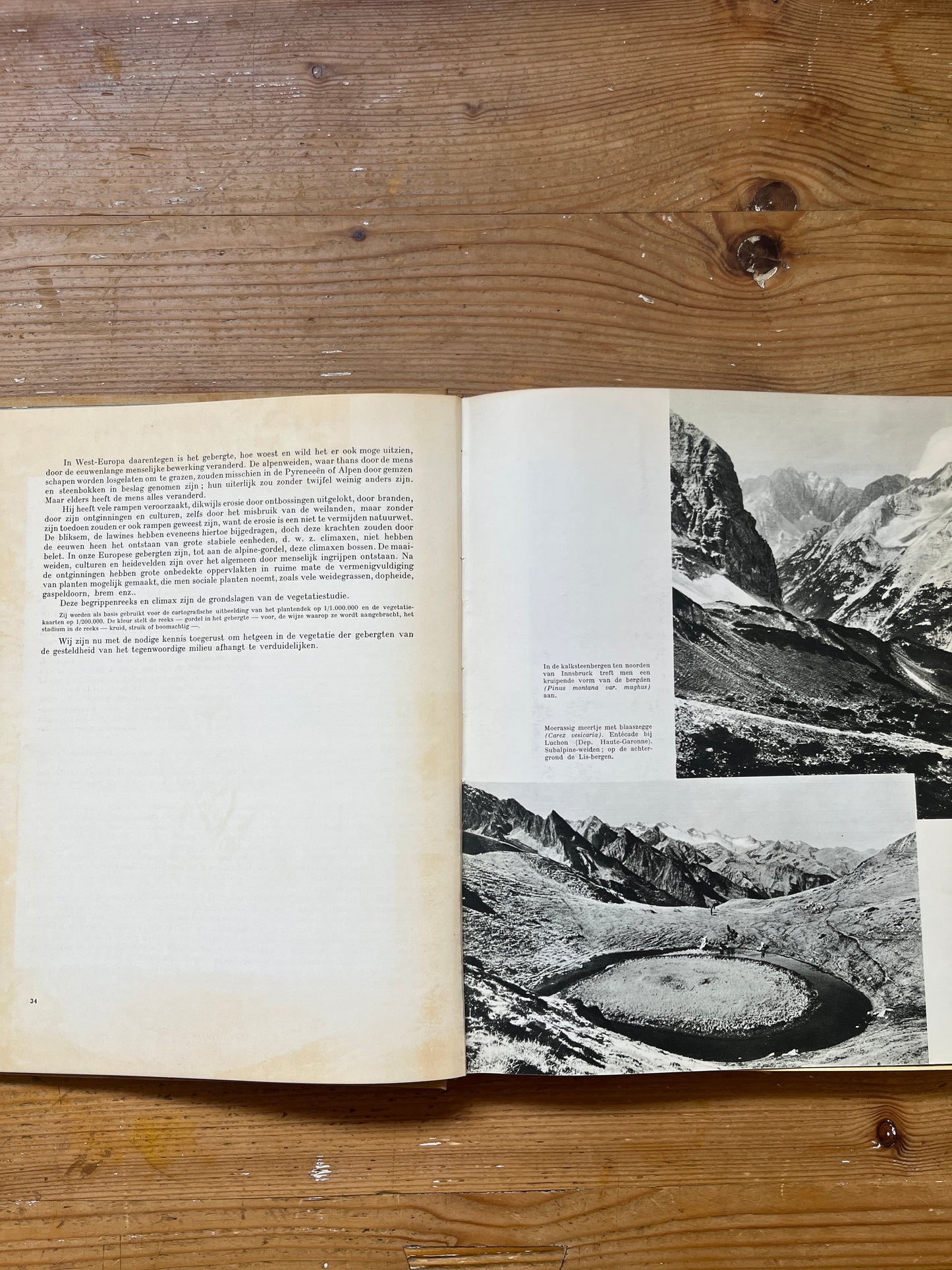 Het gebergte leeft, Henri Gaussen en Paul Barruel