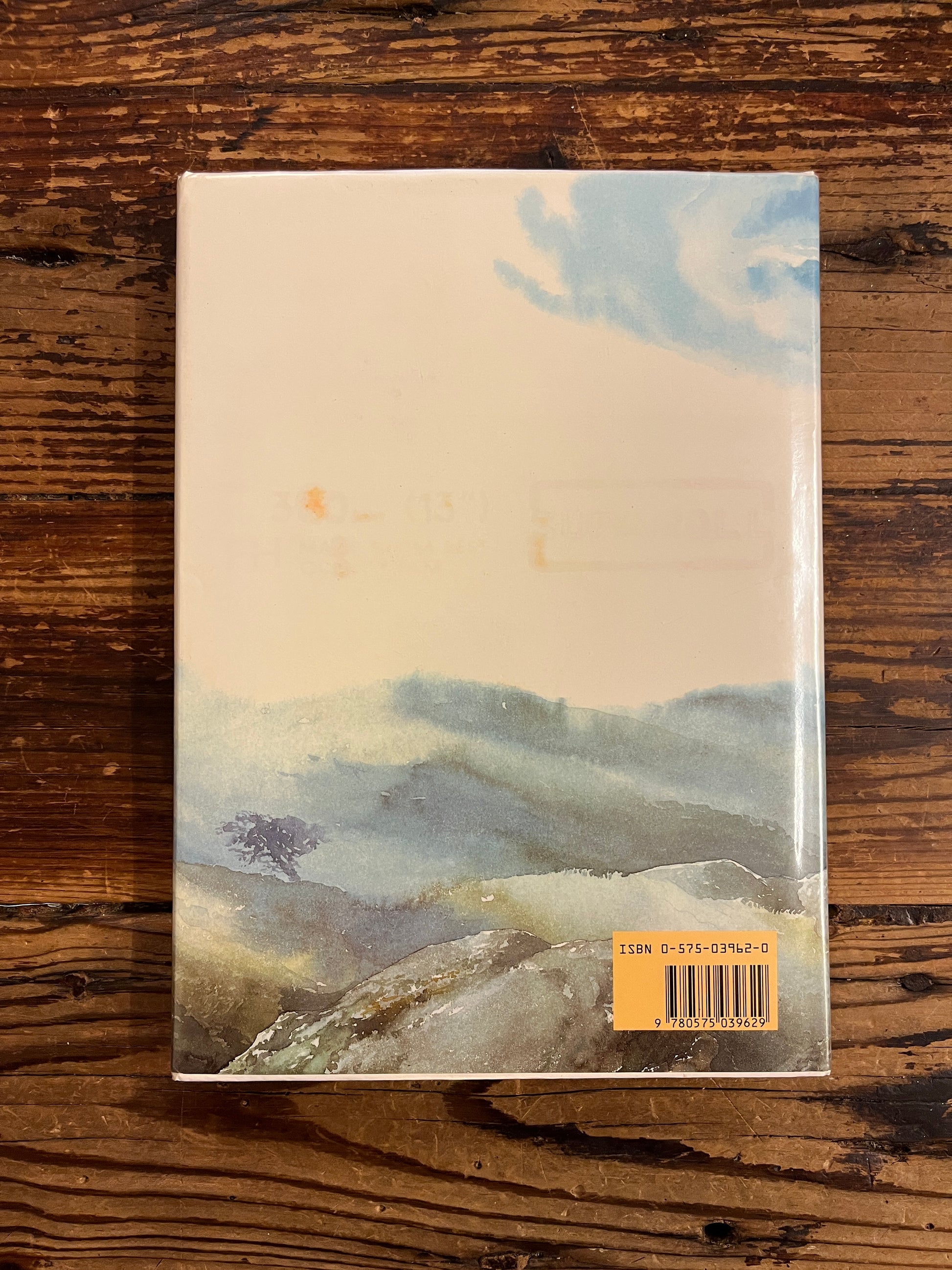 back cover of book titled 'Merlin Dreams' by Peter Dickinson and illustrated by Alan Lee on a wooden surface 