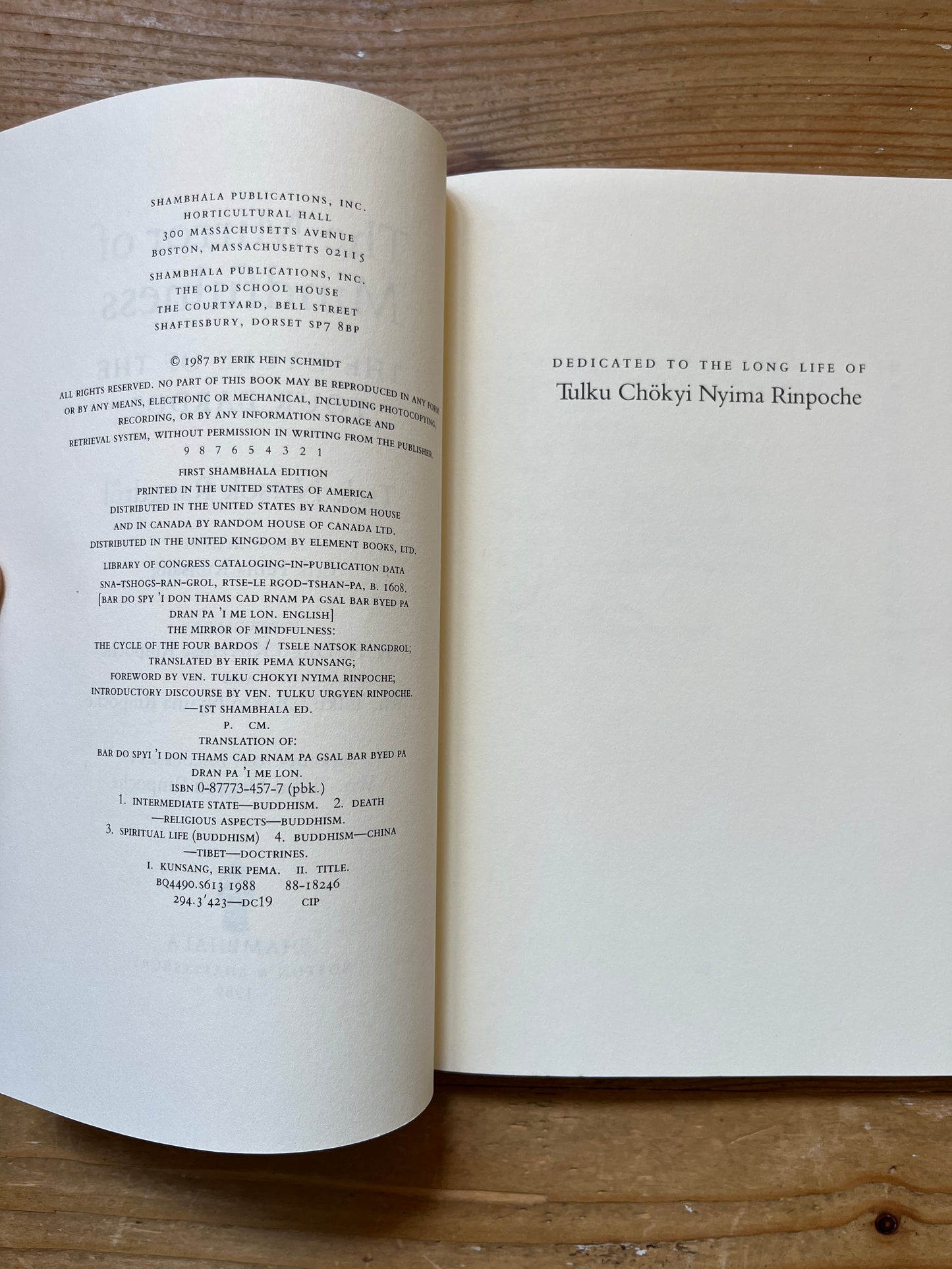 The mirror of mindfulness, Tsele Natsok Rangdrol