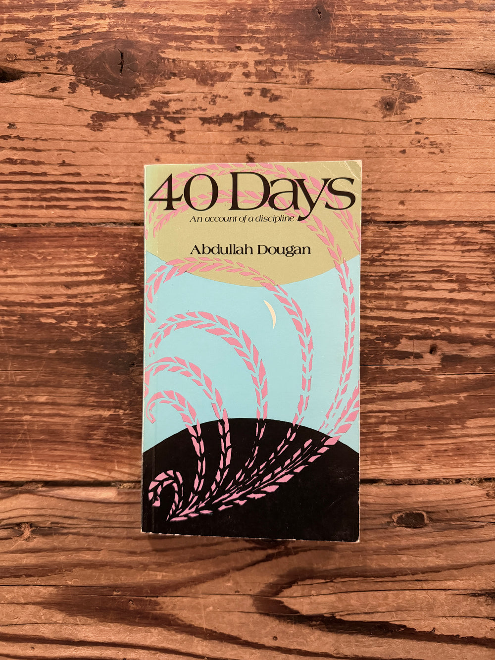 40 Days, an account of a discipline by Abdullah Dougan