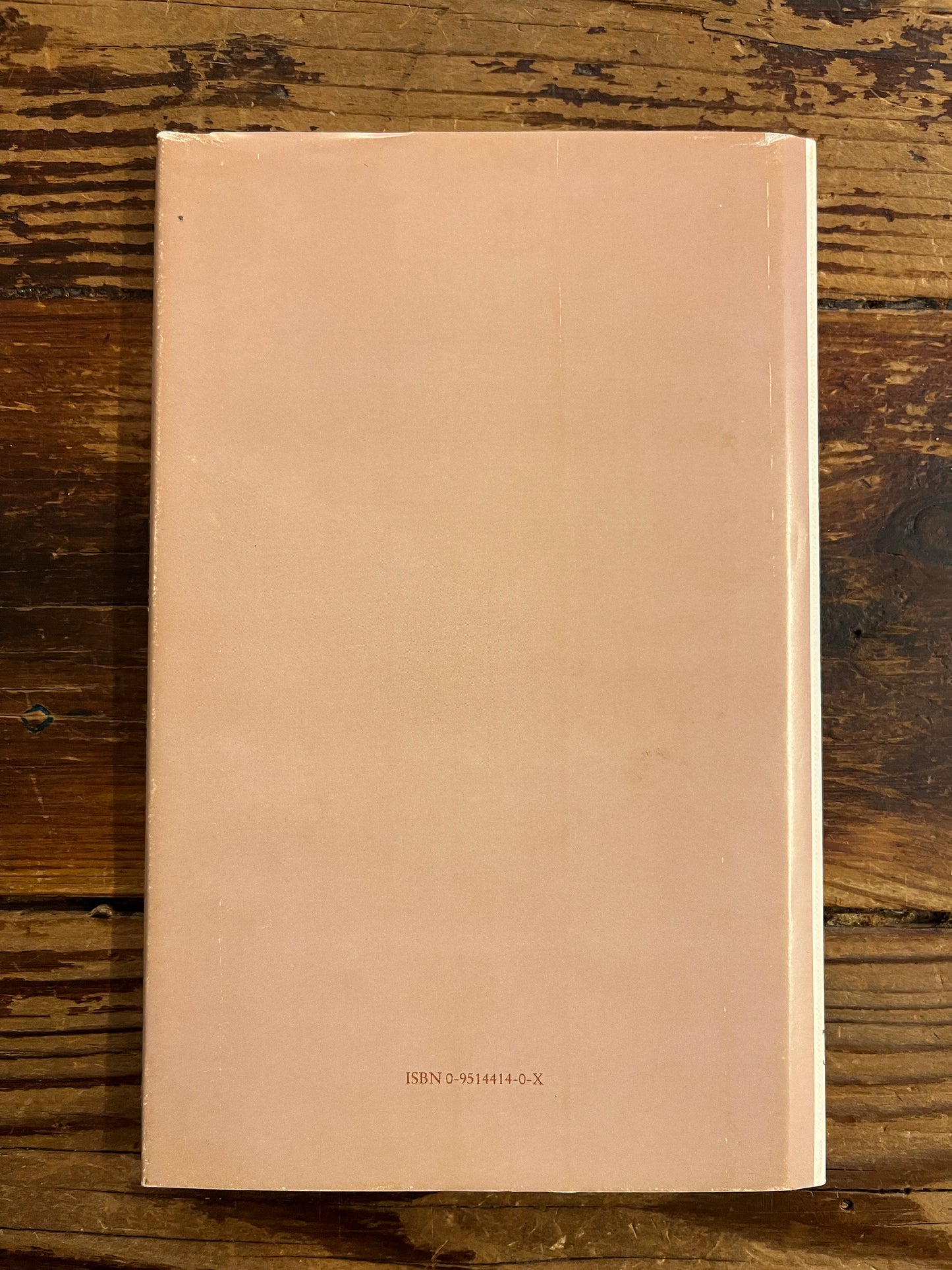 back cover of Book titled 'Portrait of a Vertical Man' on a wooden surface
