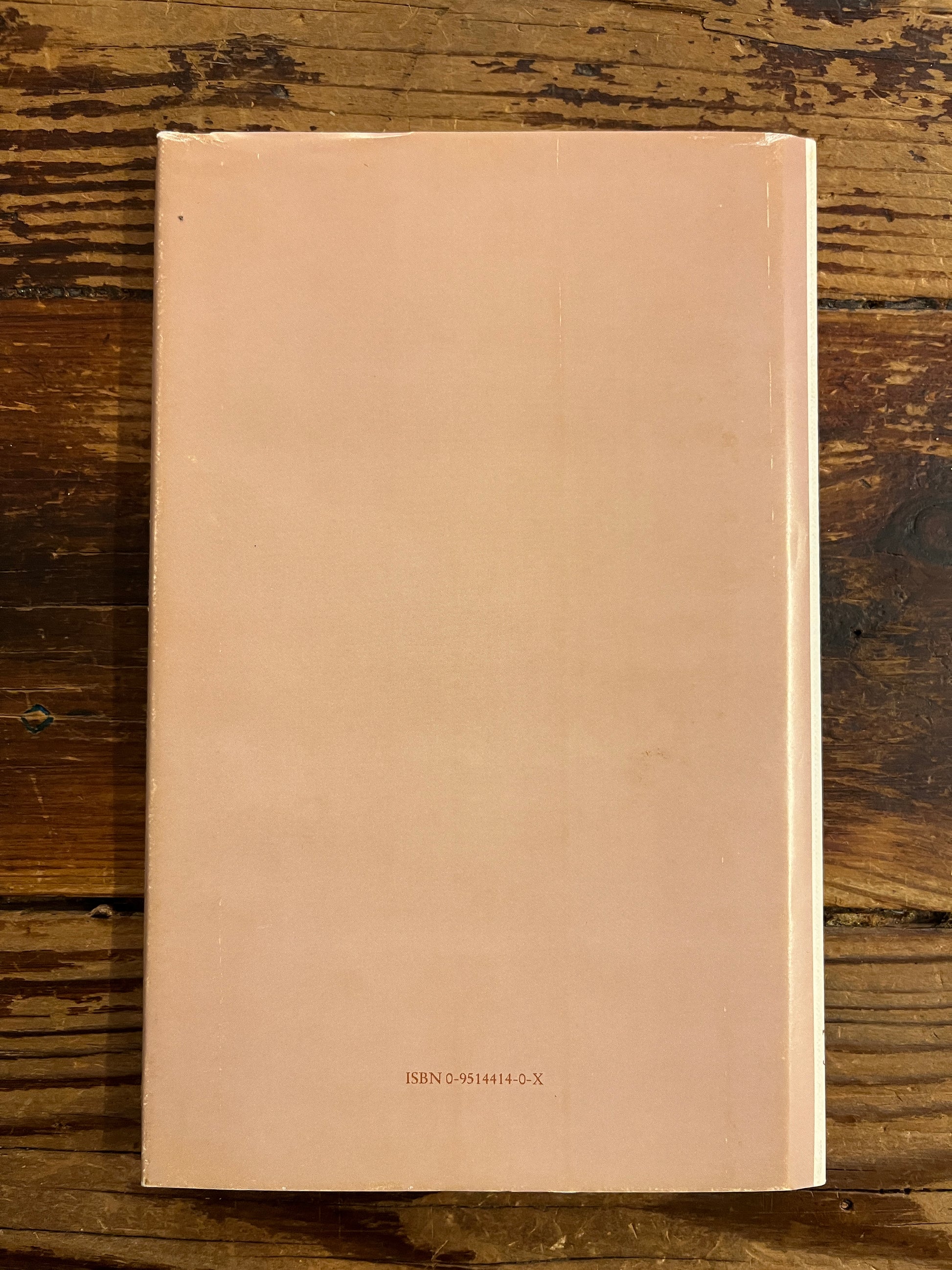 back cover of Book titled 'Portrait of a Vertical Man' on a wooden surface