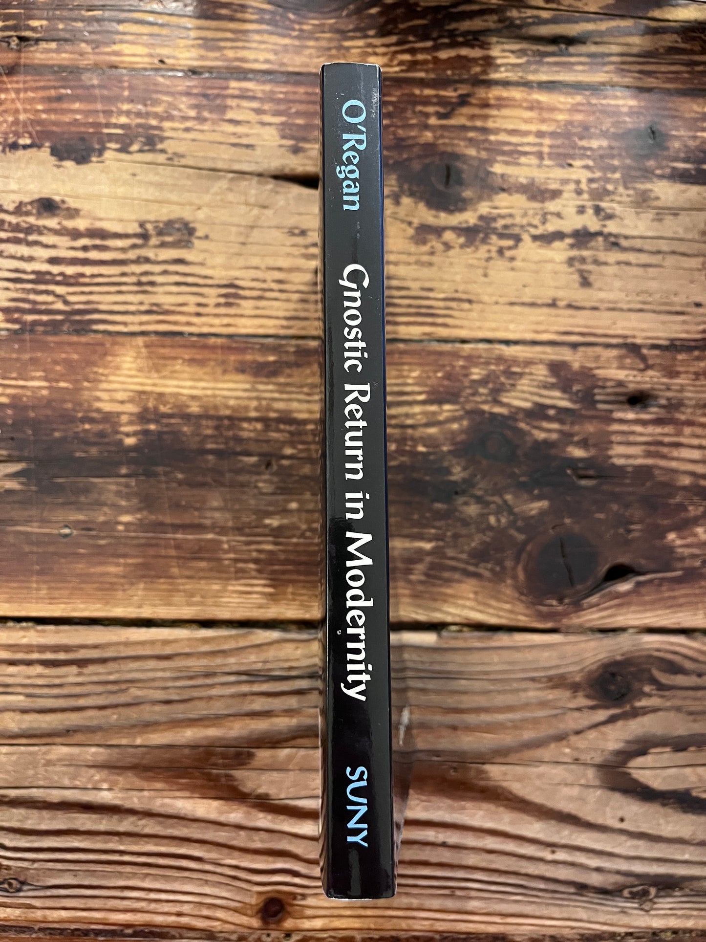 photo of the spine of the  book  "gnostic return in modernity" on a wooden background