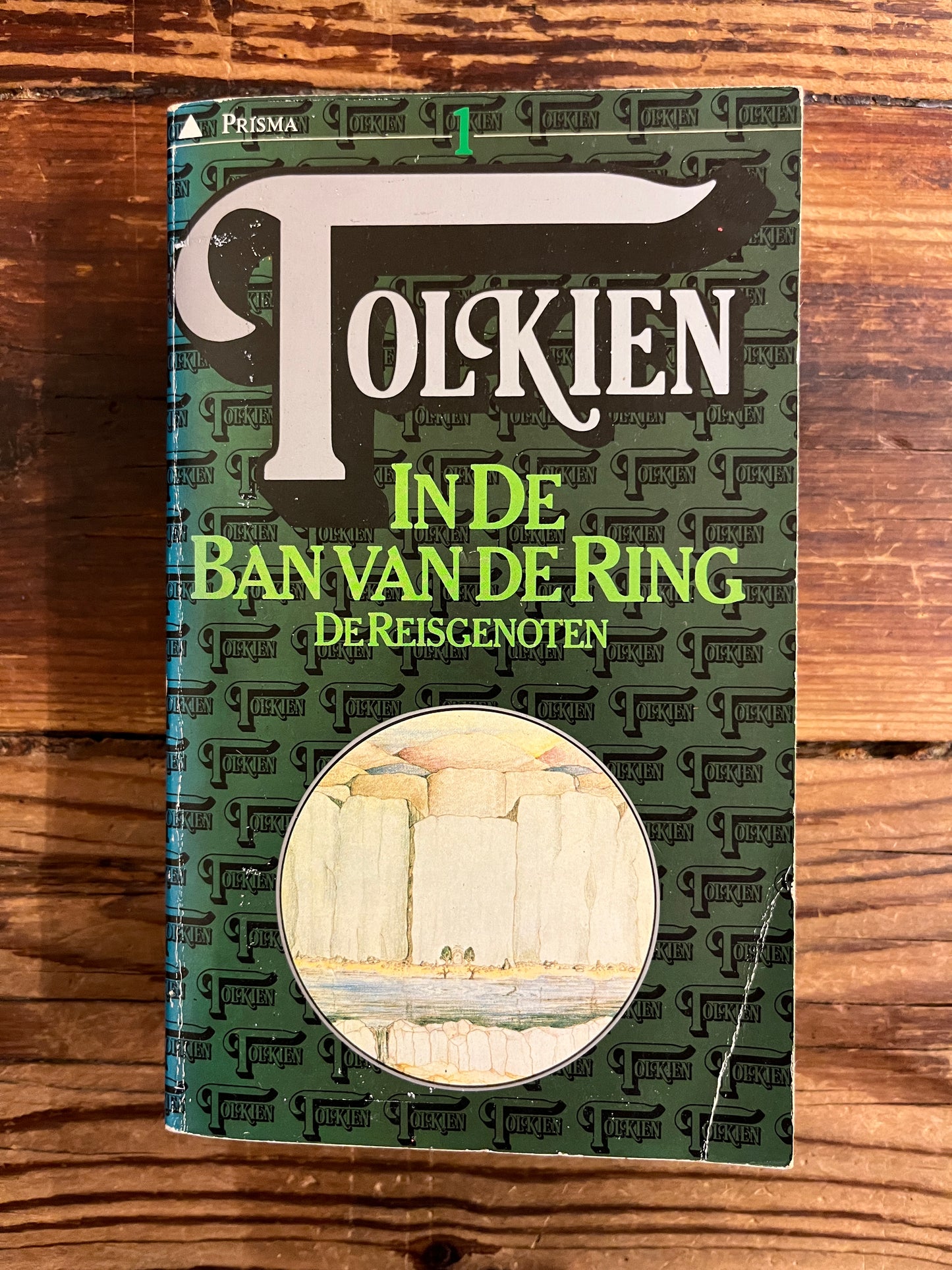 Voorkant van 'de Reisgenoten' van 'in de ban van de ring' door Tolkien op houten achtergrond 