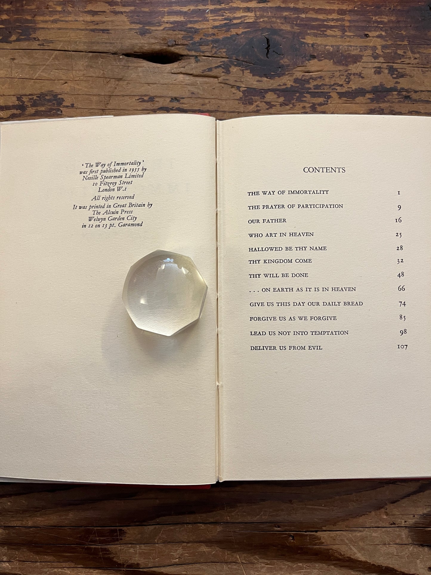 Open book titled 'The Way of Immortality' by Ian Fearn on a wooden surface