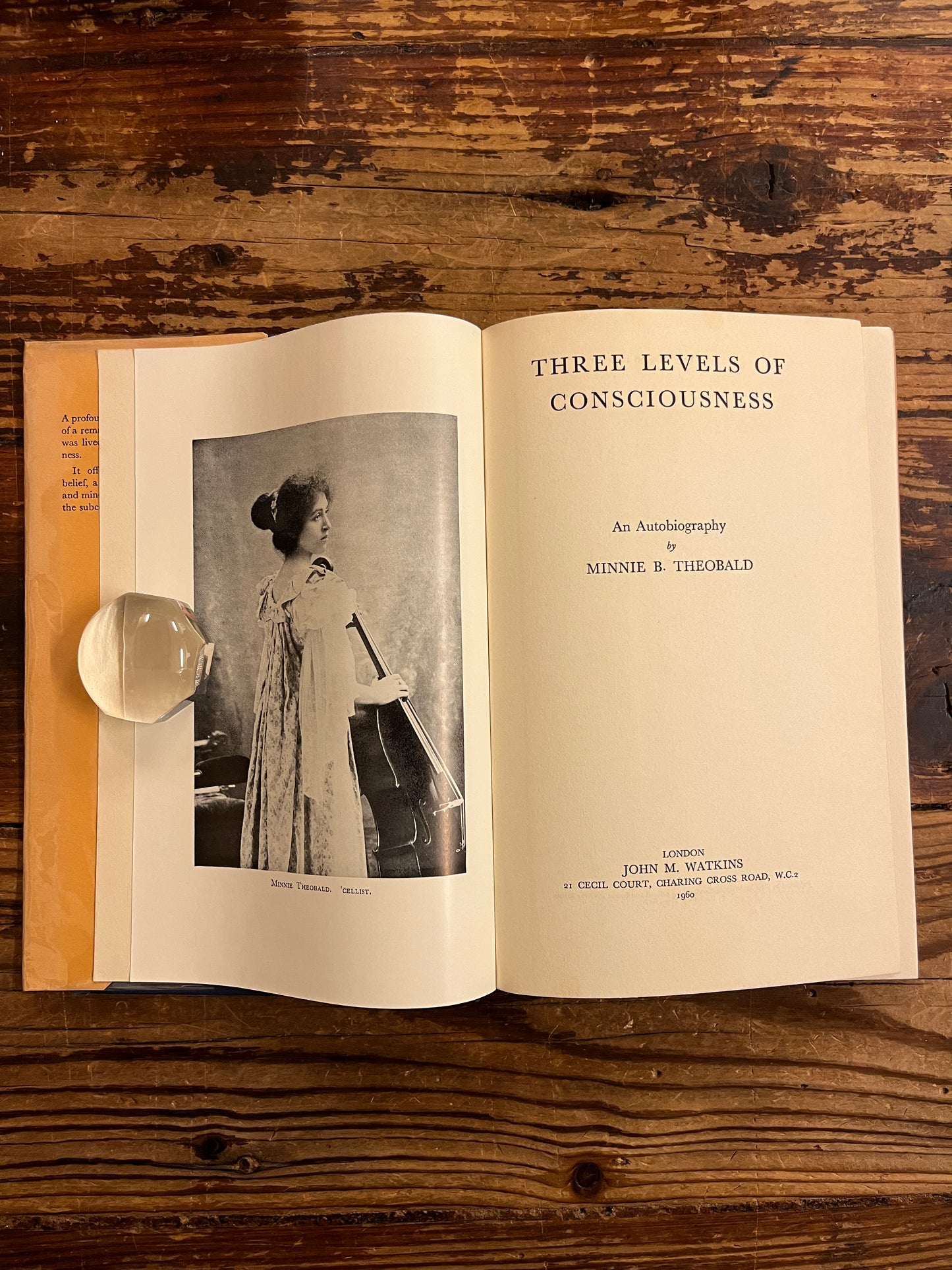 Open book 'three levels of consciousness' by Minnie B. Theobald on a wooden surface 