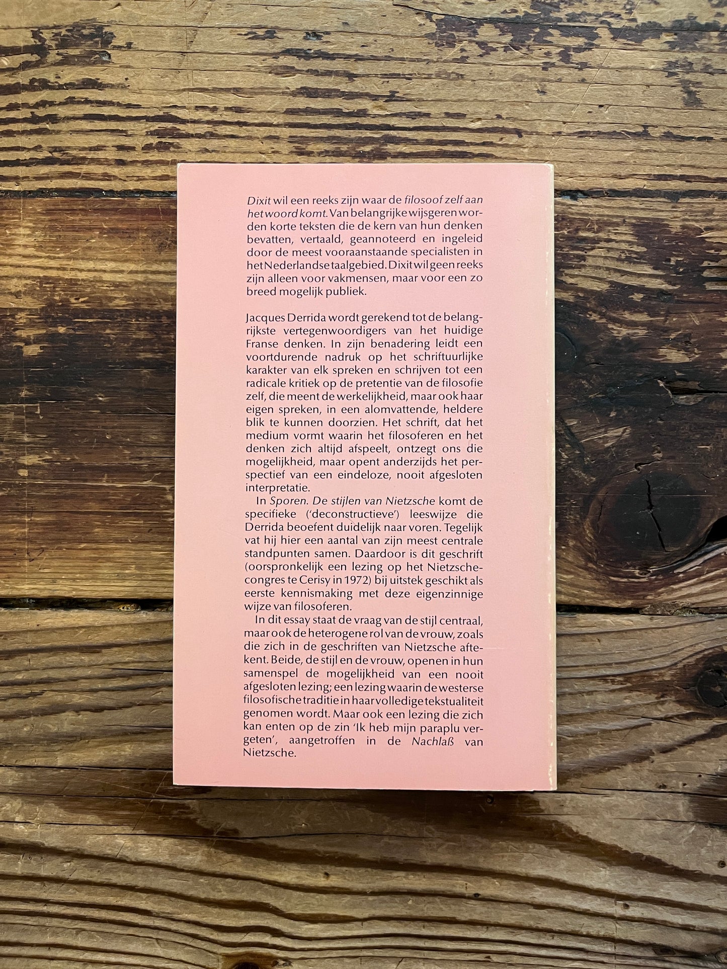 foto van de backcover van het boek "de stijlen van nietzsche"op houten achtergrond
