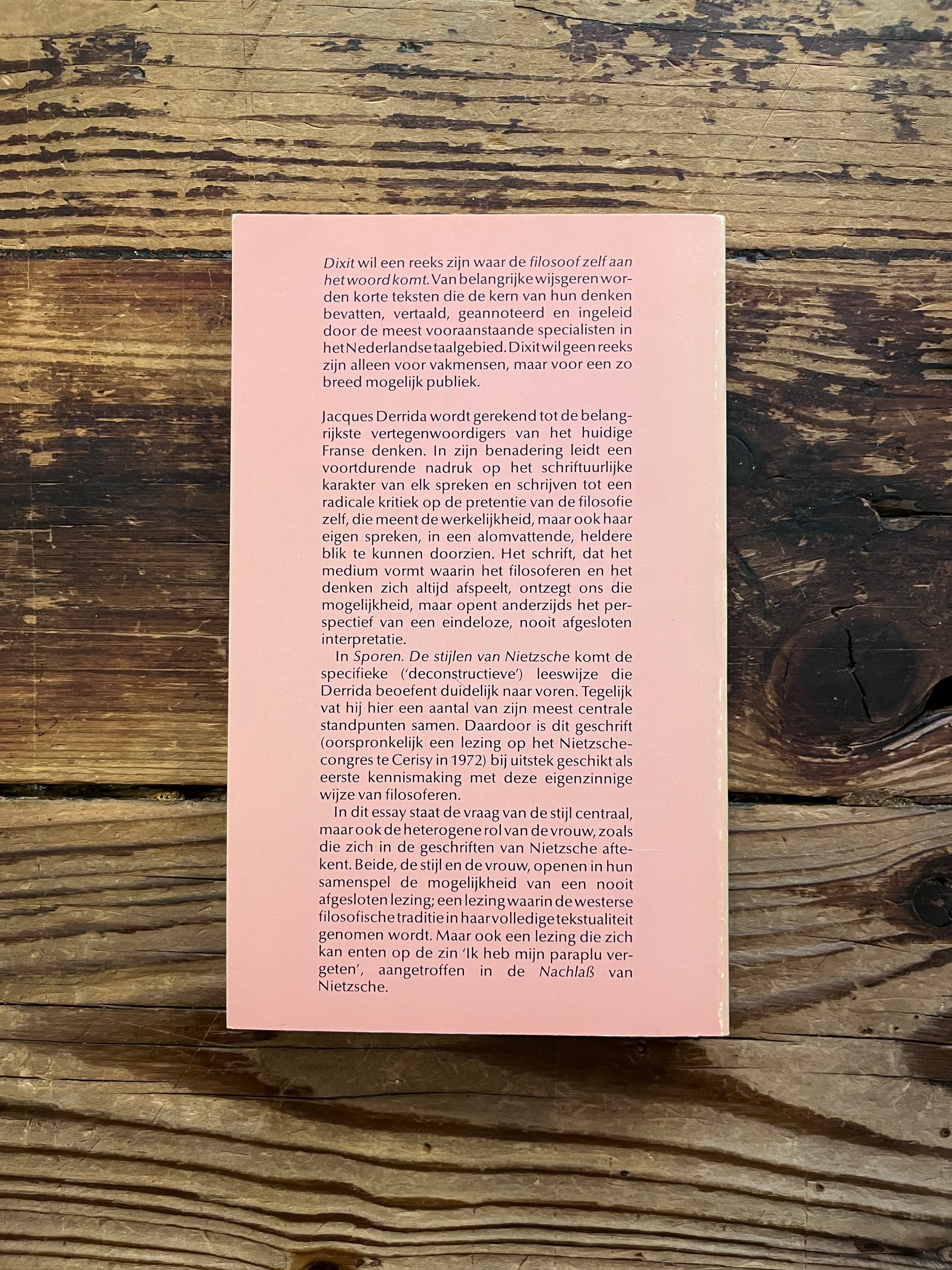 foto van de backcover van het boek "de stijlen van nietzsche"op houten achtergrond
