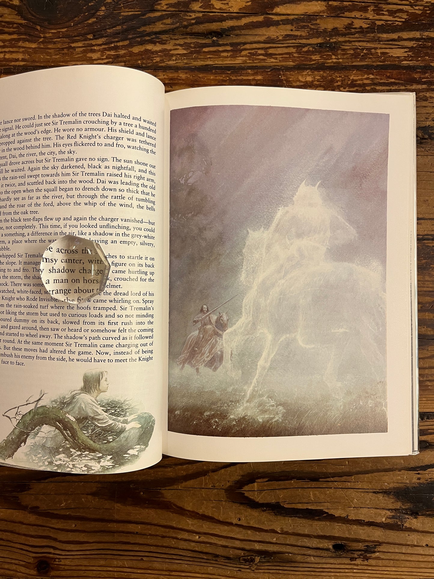 open book titled 'Merlin Dreams' by Peter Dickinson and illustrated by Alan Lee on a wooden surface showing an illustration 