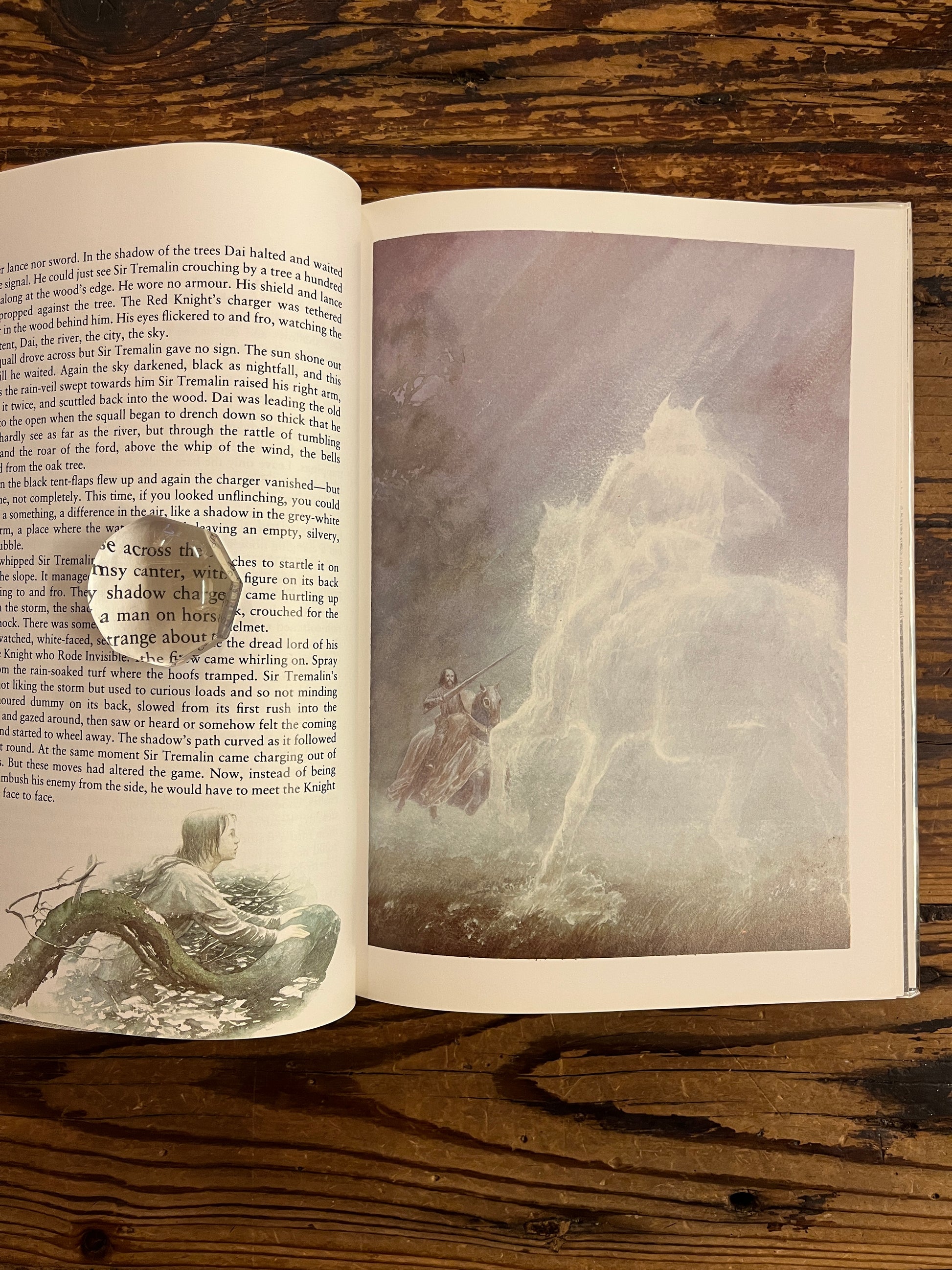 open book titled 'Merlin Dreams' by Peter Dickinson and illustrated by Alan Lee on a wooden surface showing an illustration 