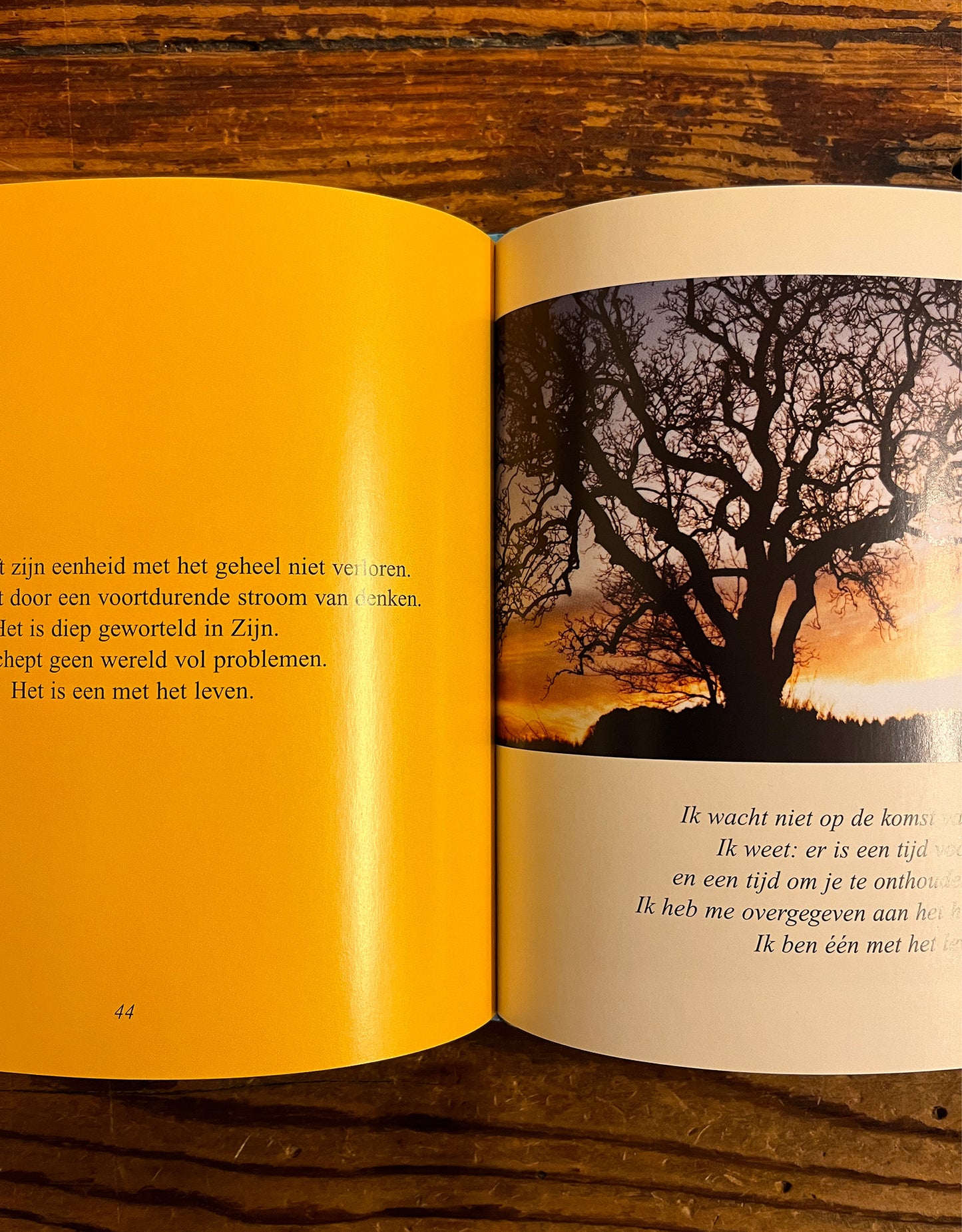 Eckhart Tolle's Findhorn retraite