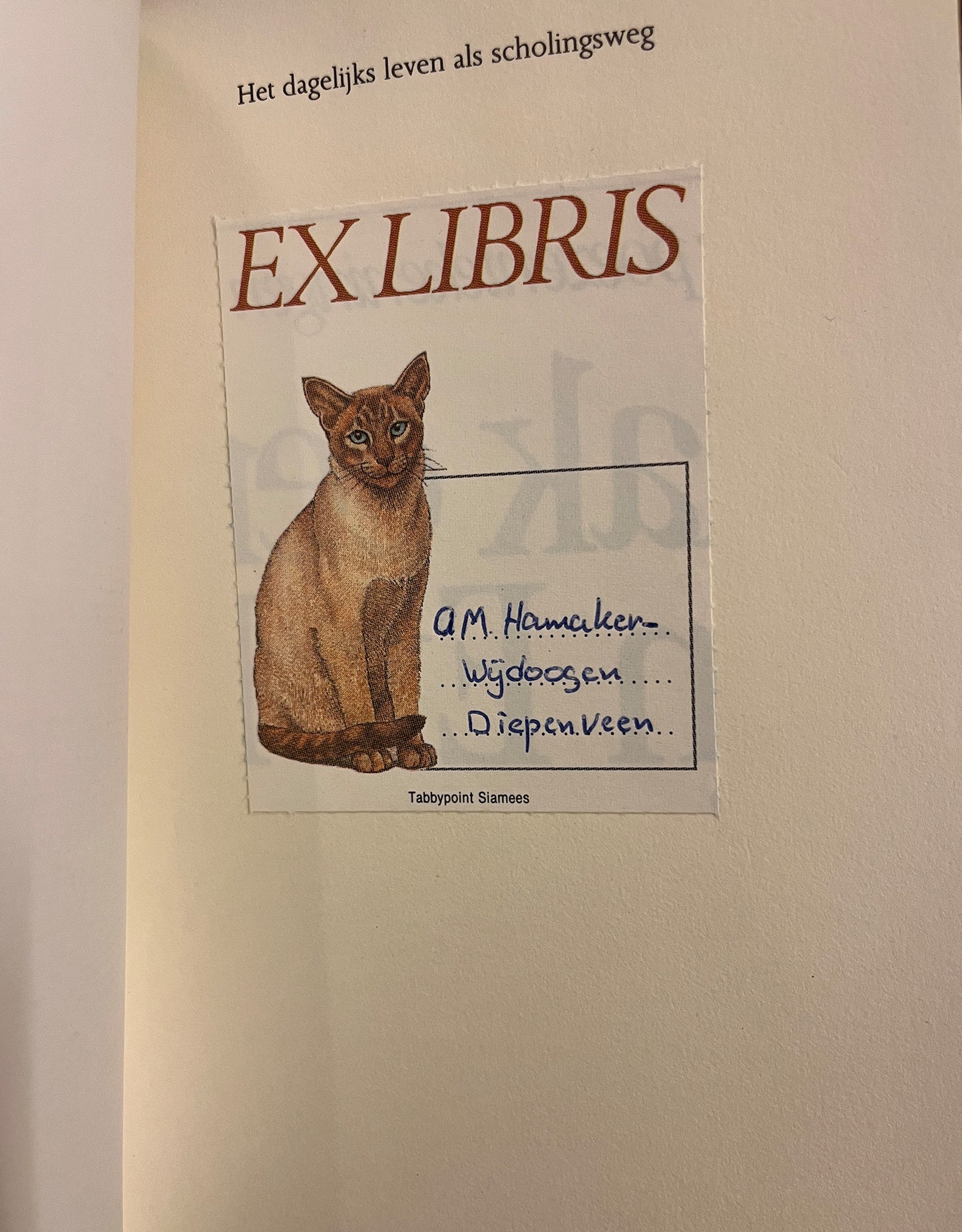 Het dagelijks leven als scholingsweg, A. Floride