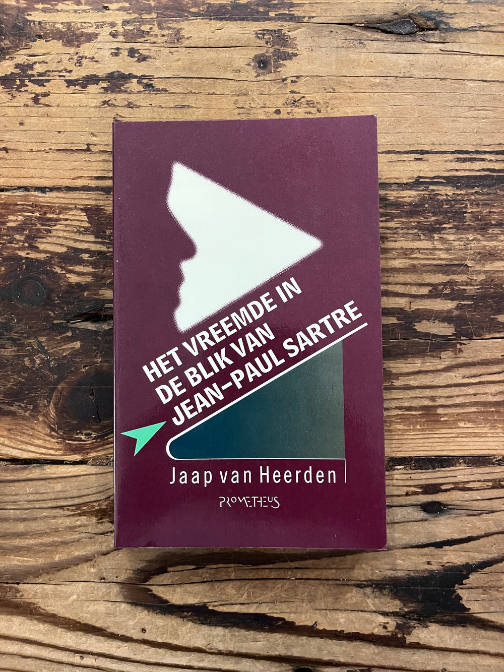 Het vreemde in de blik van Sartre door Jaap van Heerden