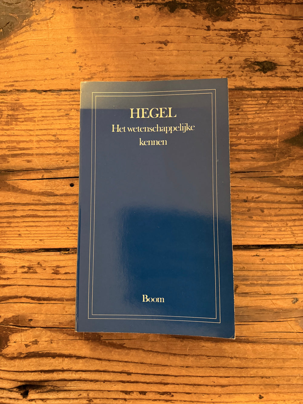 Het wetenschapelijke kennen door Hegel