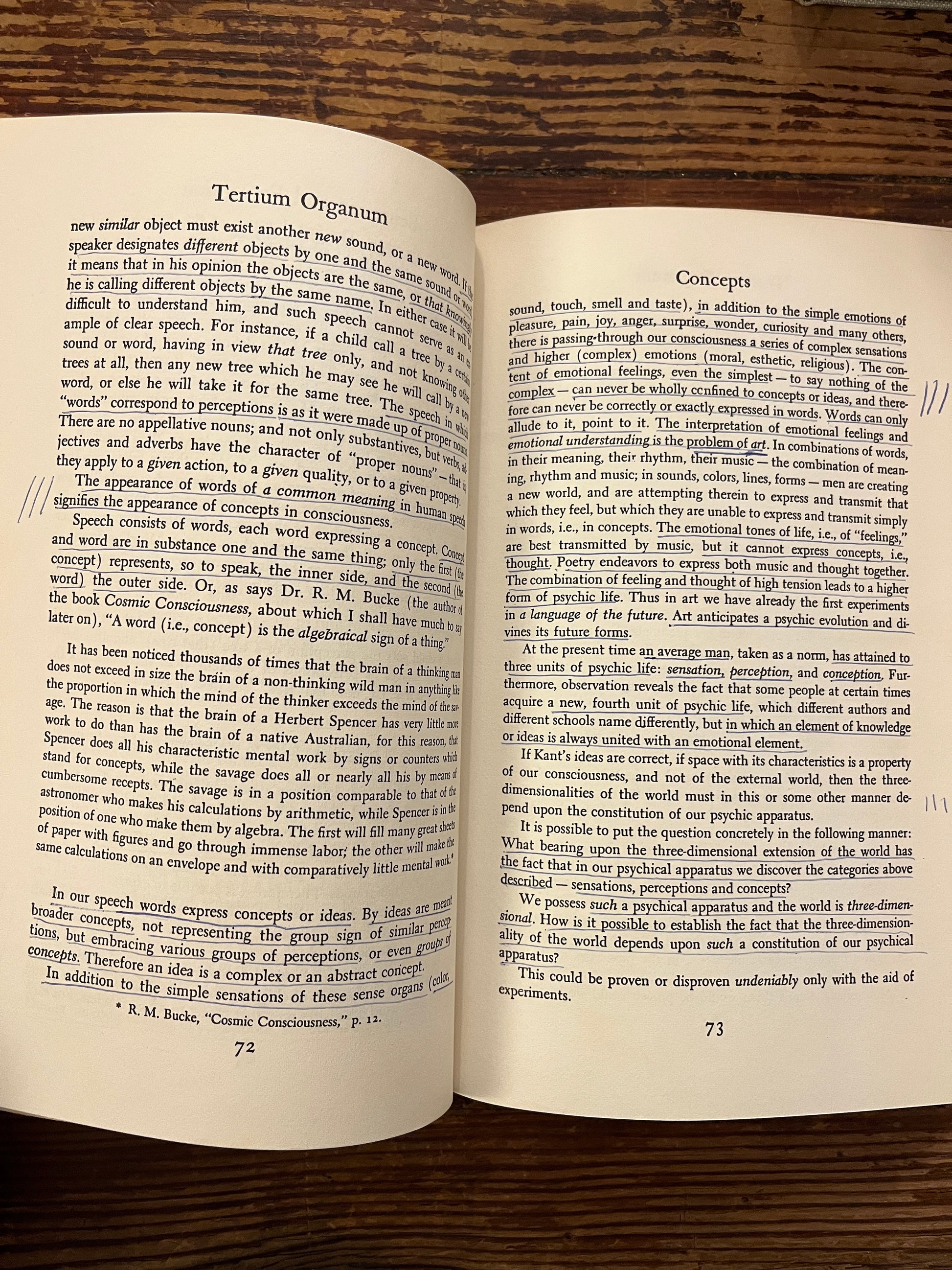 Open book titled 'Tertium Organum' by P.D. Ouspensky on a wooden surface