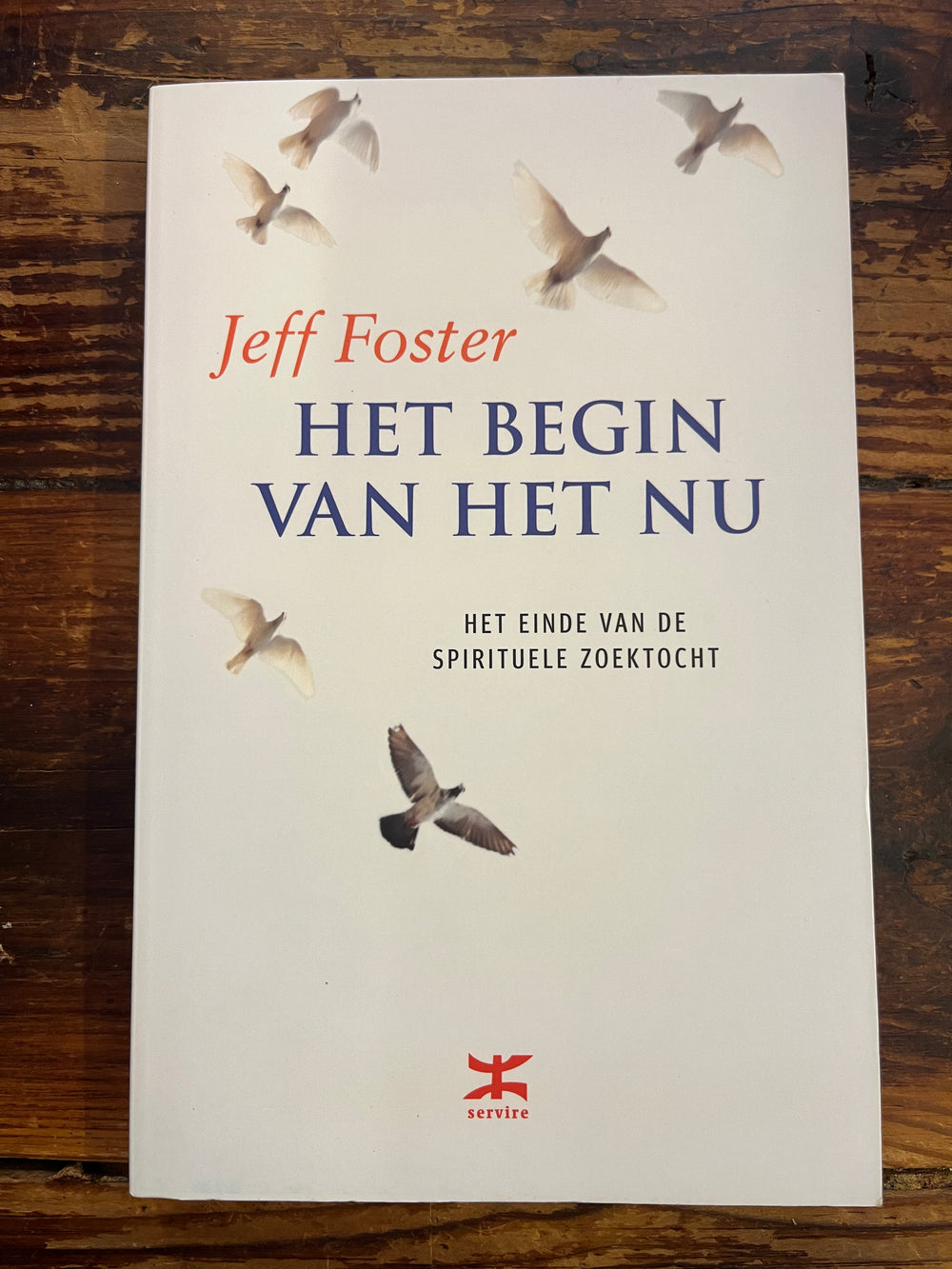 Het Begin van het Nu door Jeff Foster