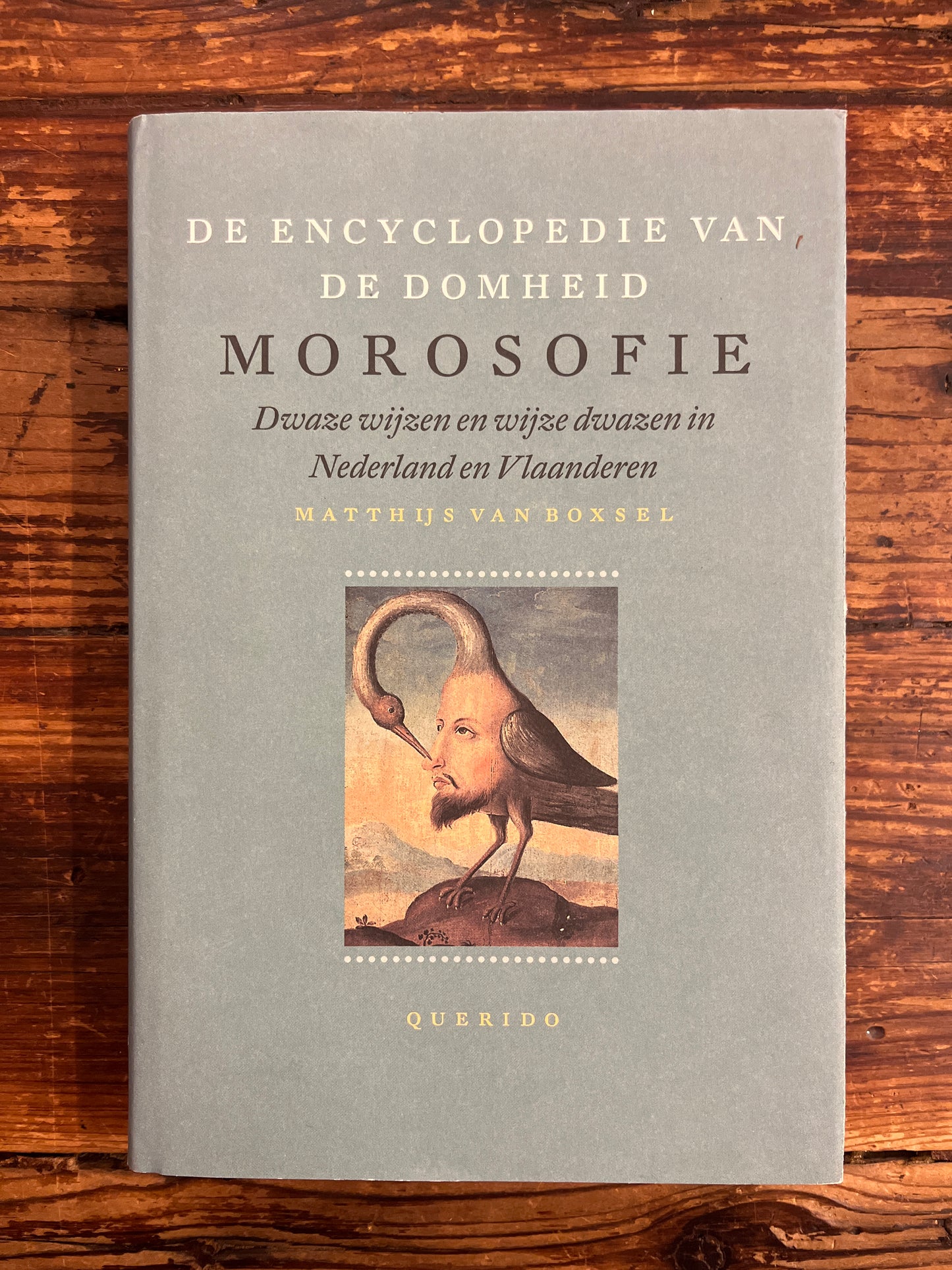 De Encyclopedie van de domheid, Morosofie, Matthijs van Boxsel