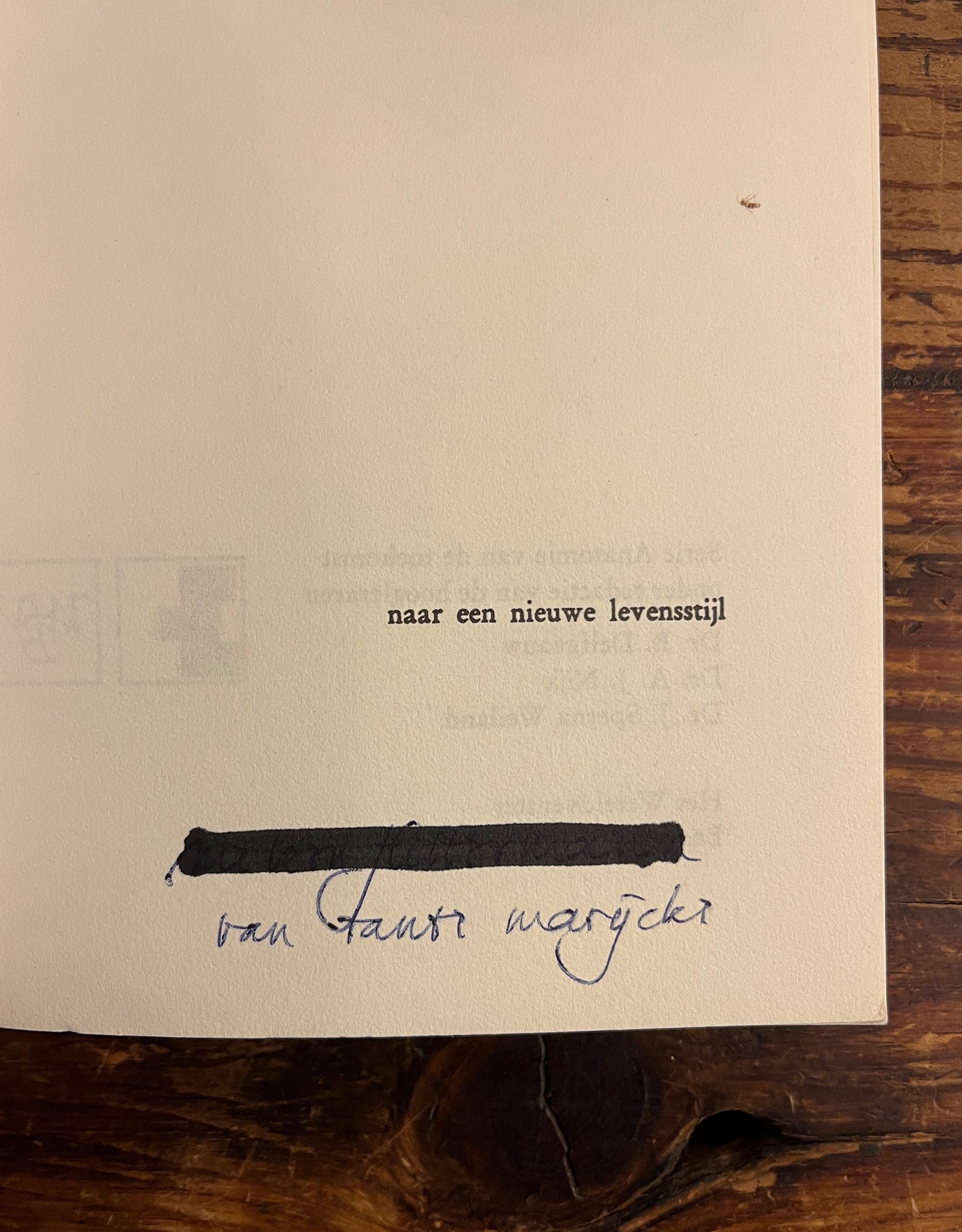 Naar een nieuwe levensstijl, Ivan Illich
