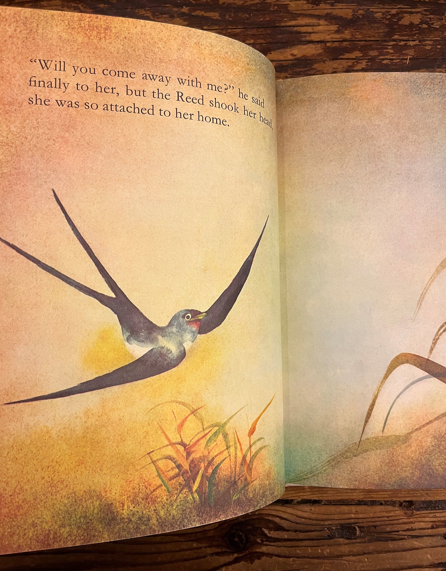The Happy Prince, Oscar Wilde