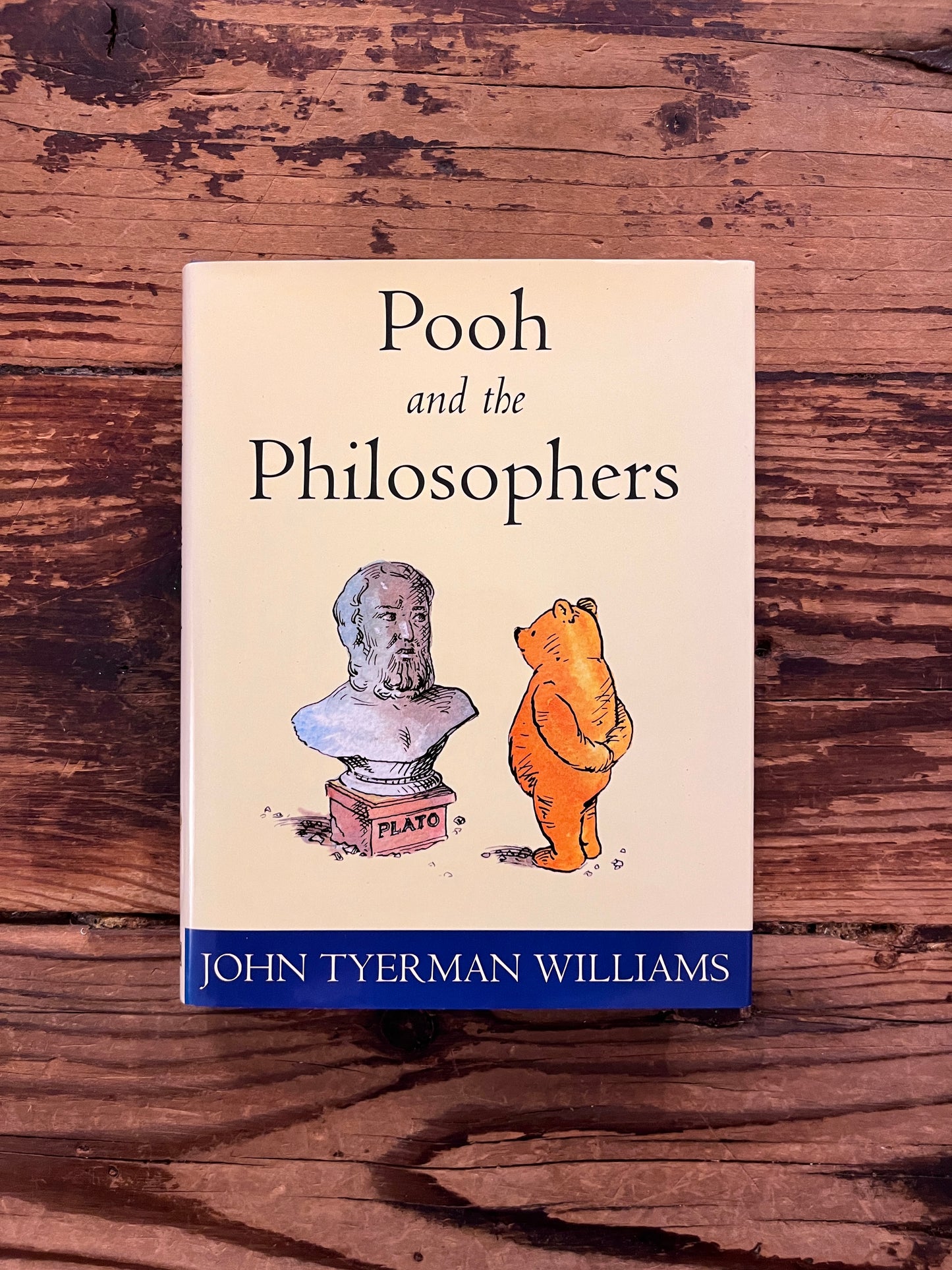 photo of the cover of the book "Pooh and the philosophers" on a wooden background