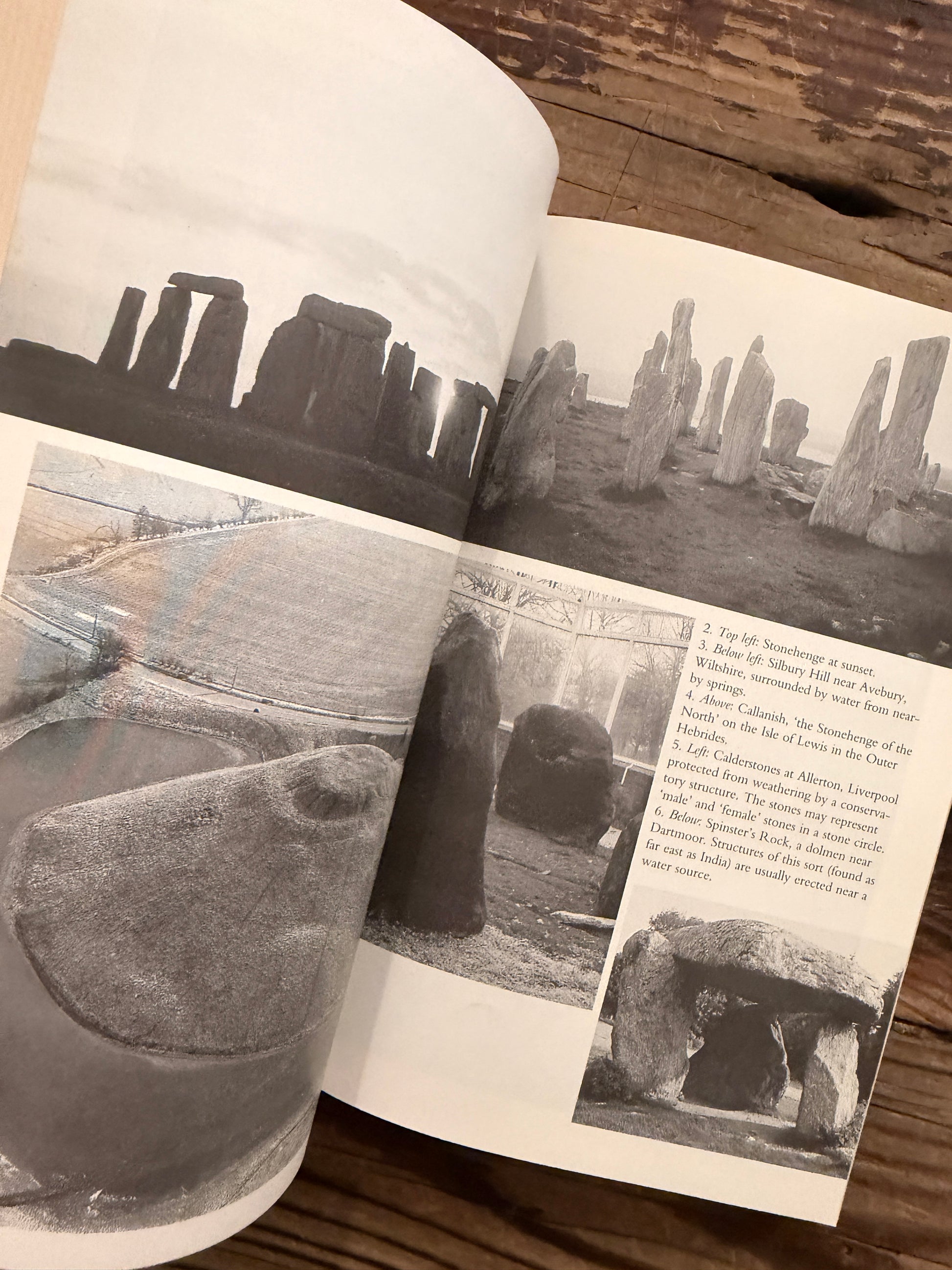 Open book titled 'The Caves of the Sun: The Origin of Mythology' by Adrian Bailey, lying on a wooden surface