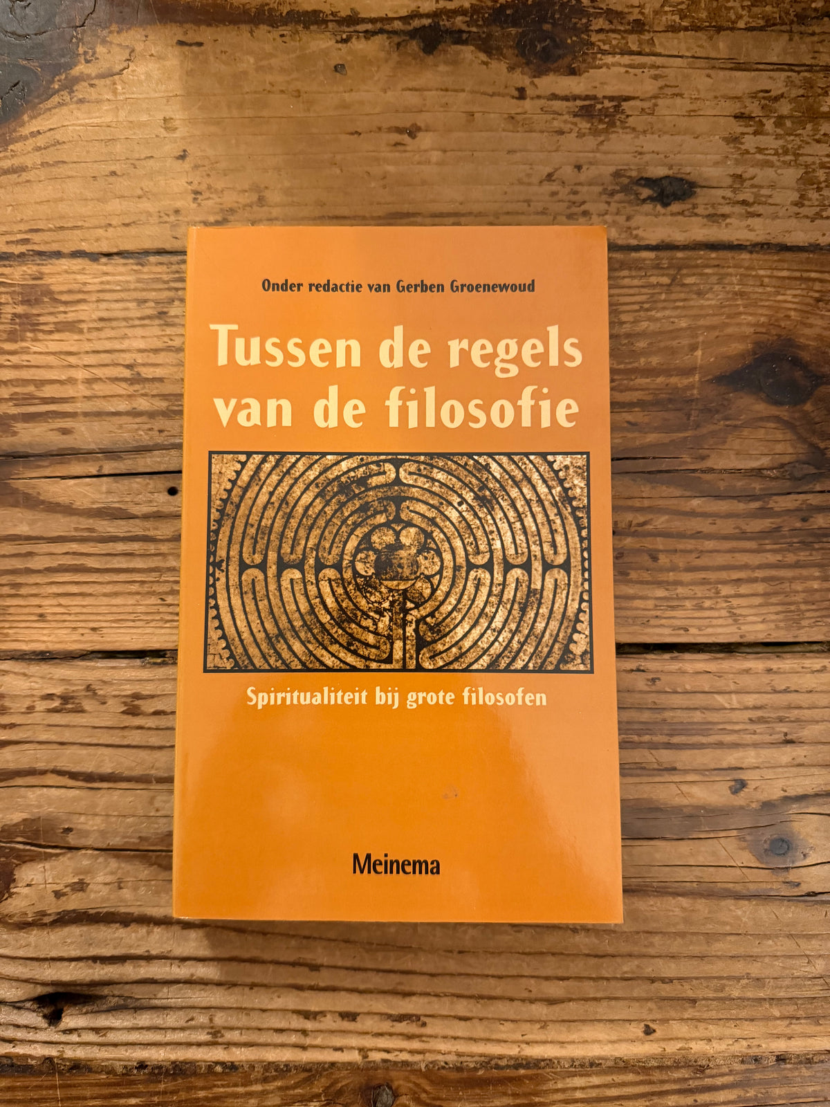 foto van de omslag van het boek "tussen de regels van de filosofie" op houten achtergrond